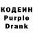 Кодеиновый сироп Lean Purple Drank Dasha Vasha