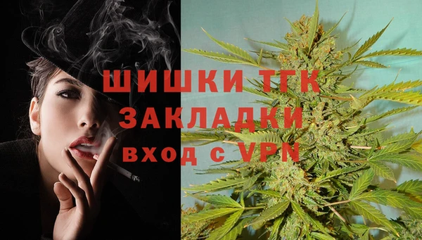 тгк Кулебаки