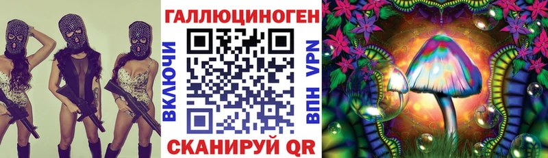 Купить закладки  Алупка  Галлюциногенные грибы Psilocybine cubensis 