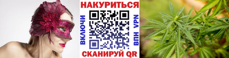 Купить где  Алупка  Бошки марихуана Bruce Banner 